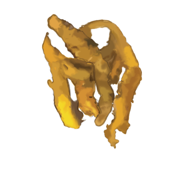 Berberine stem